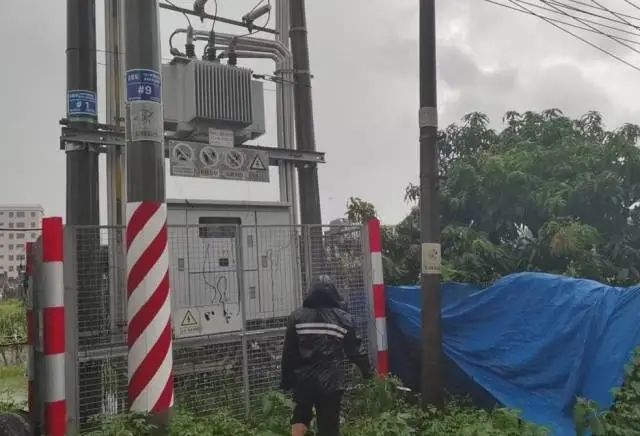 受訪者 供圖 圖片